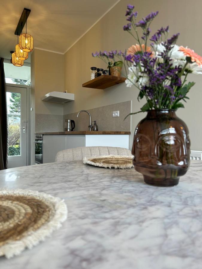 Amsterdam Beach Apartment 33, Private Garden 赞德沃特 外观 照片